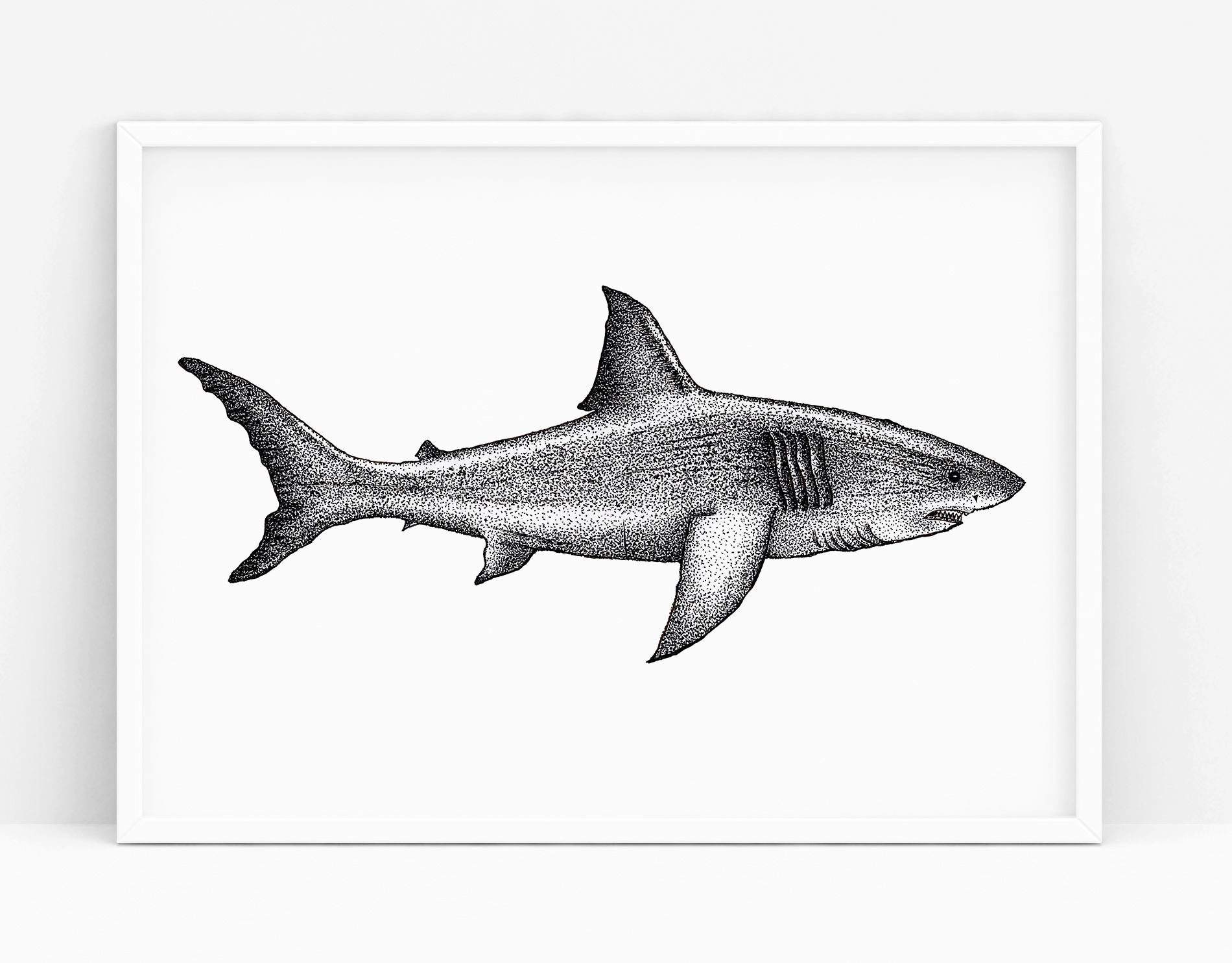 Shark
