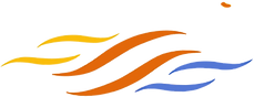 02%20-%20logo%20tipo%20ms_edited.png