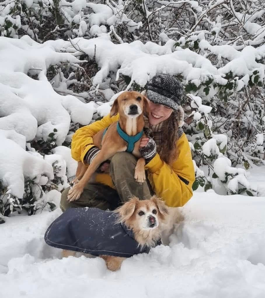 Happy, Jimmy & Annie in the snow