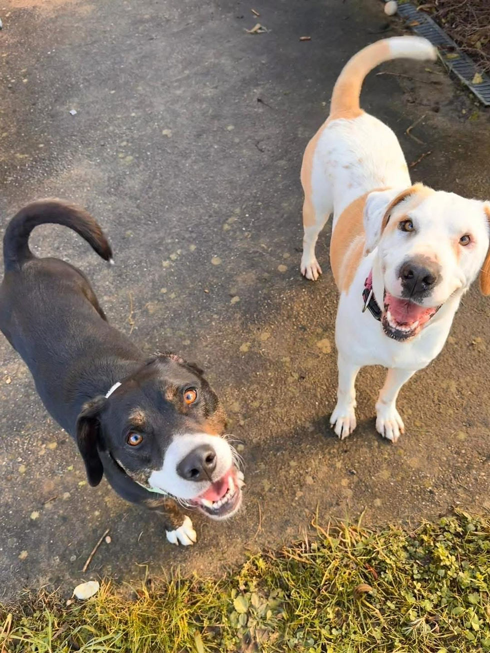 Essy and her new best friend