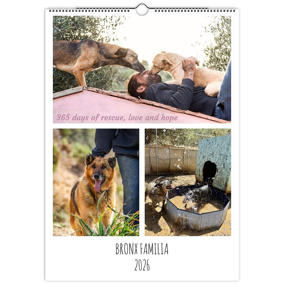 2026 Bronx Familia Calendar - Support Our Rescue Dogs