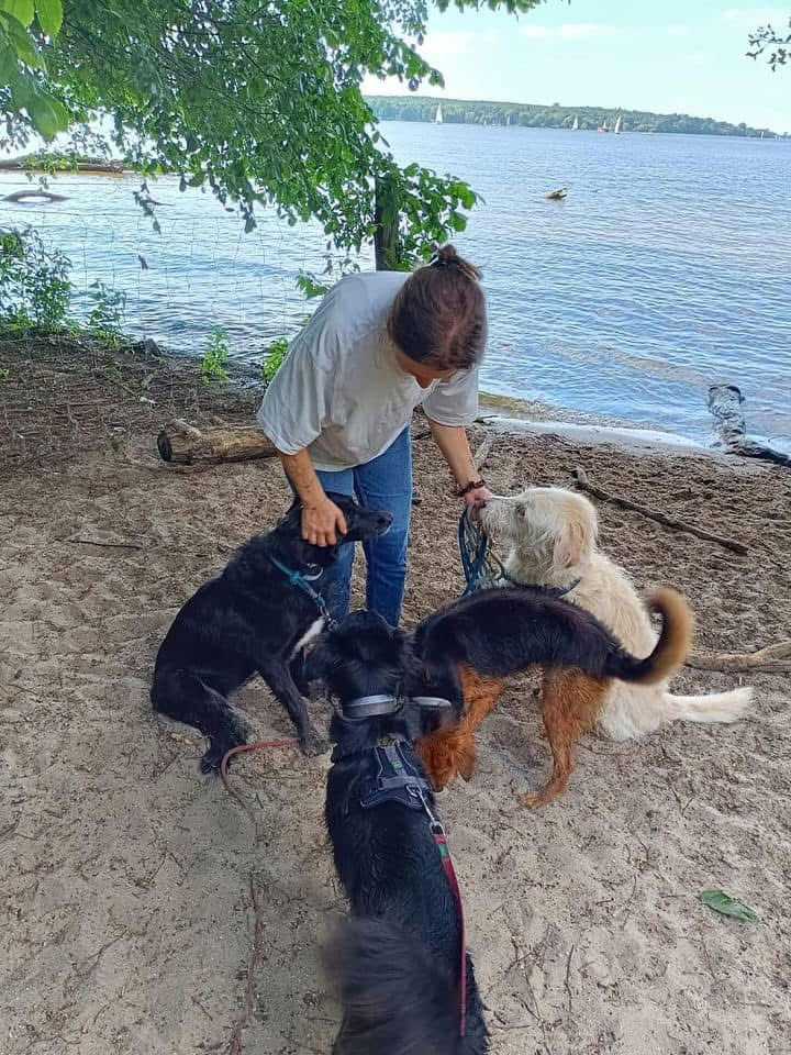 Rolo & Skittles at the lake