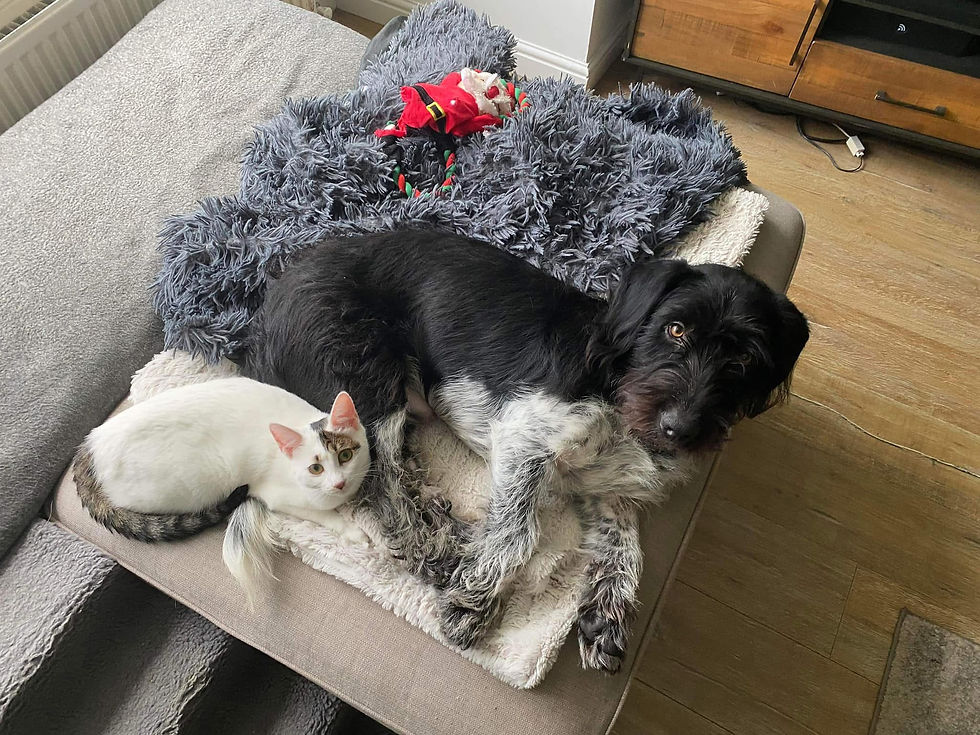 Missy and her new friend