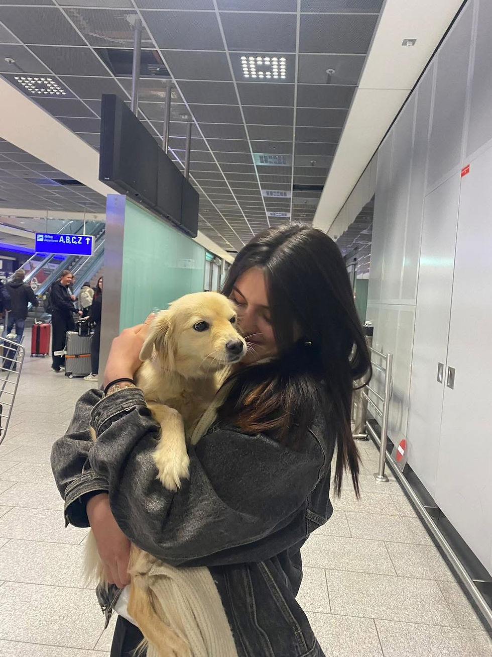 Anastasia picks up Nora in the airport