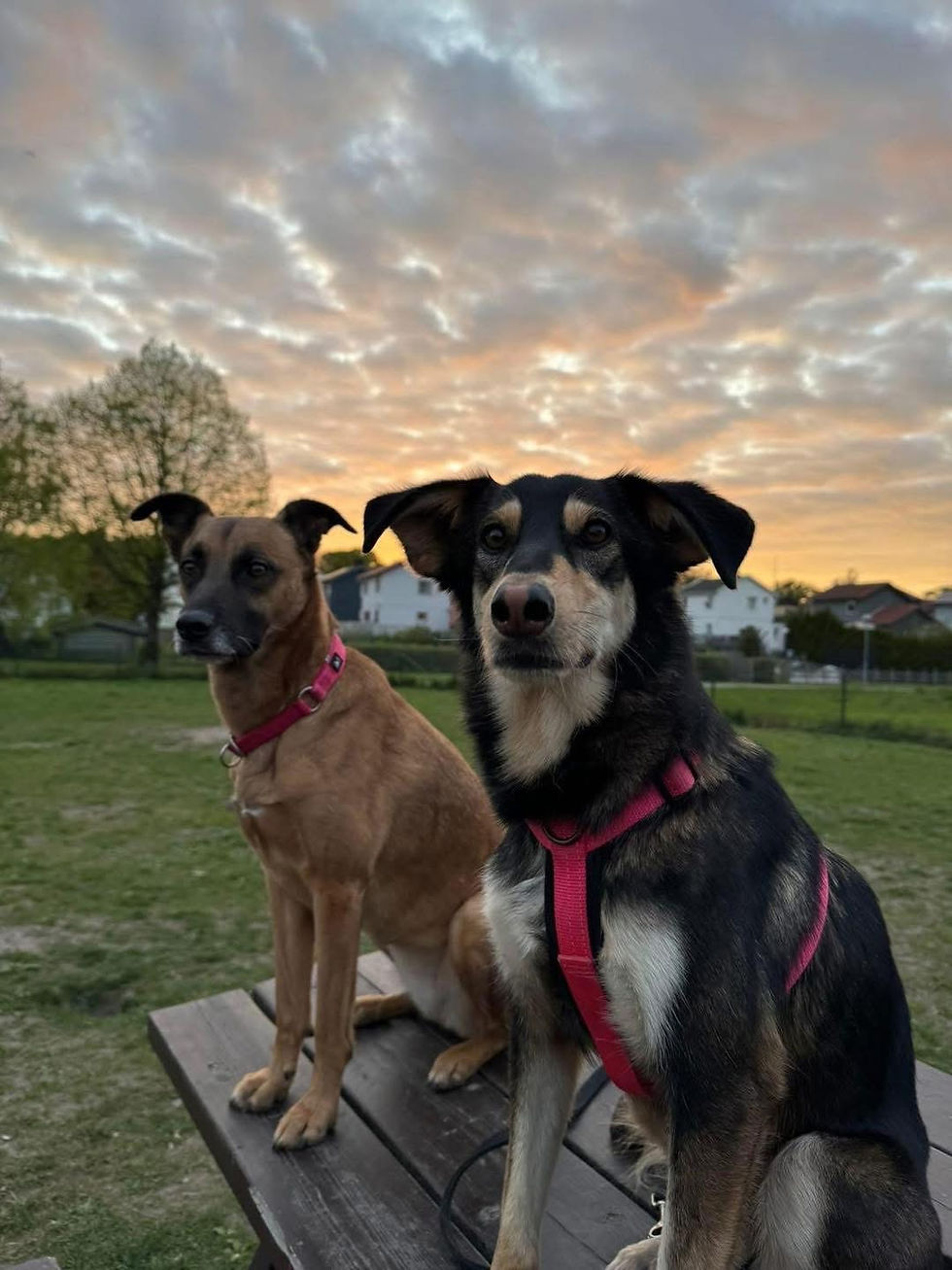 Nennette and her sister Athena