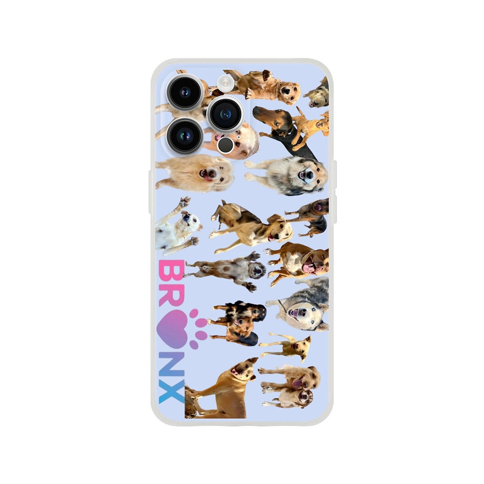 Thumbnail: Bronx Familia Phone Case – IPhone, Support Animal Shelters