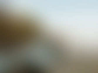 Adventurous couple walking across large driftwood logs by the water’s edge, surrounded by Oregon mountain scenery