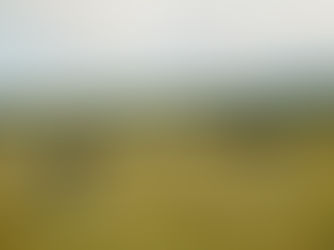 Playful & Romantic Moments in the Hills | Oregon Couples Photoshoot