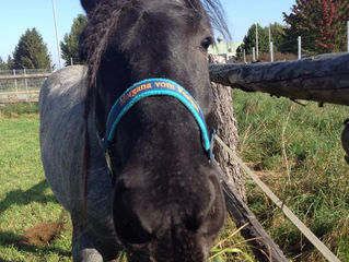 sie is doch herzallerliebst, oder? ;-)