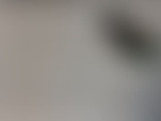 artikel in "Die Lungauerin" über helga klary vom norikerzuchtbetrieb landhotel postgut/tweng