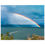 Rainbow of hope: The Sea of Galilee (Fine Art Poster)