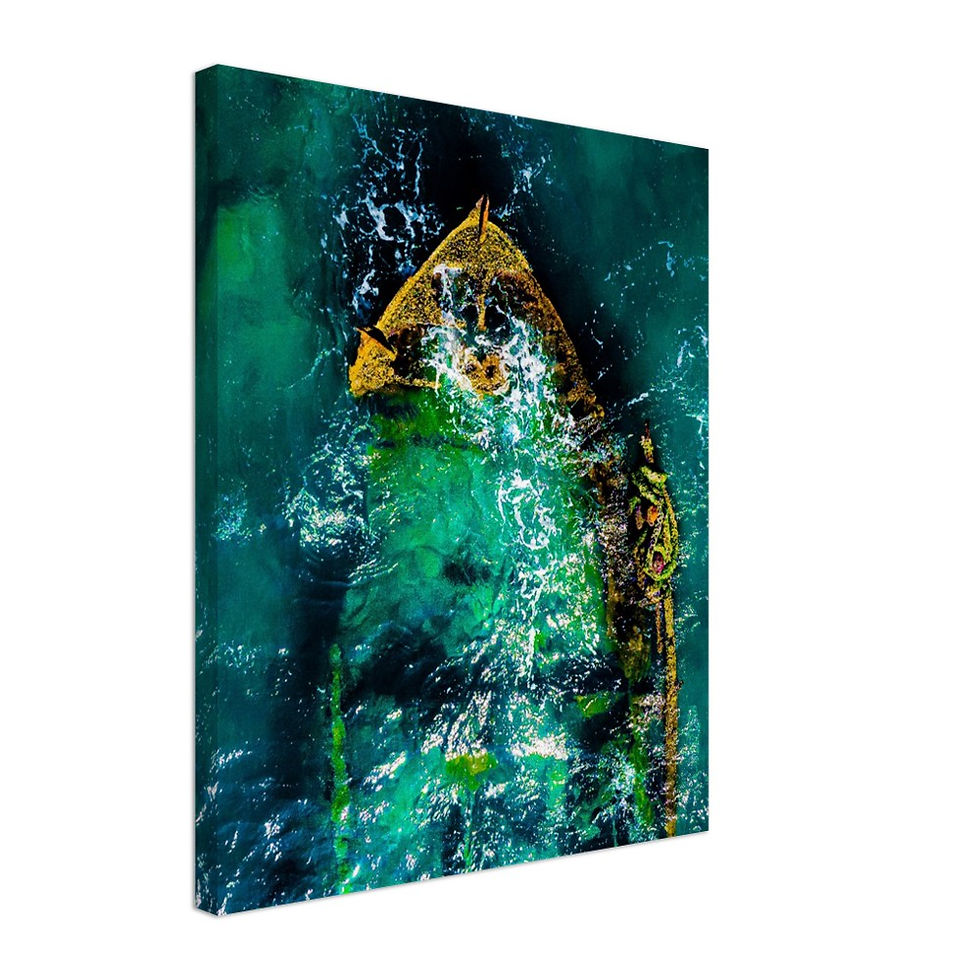 The Sa'ar Shipwreck (Canvas Print)