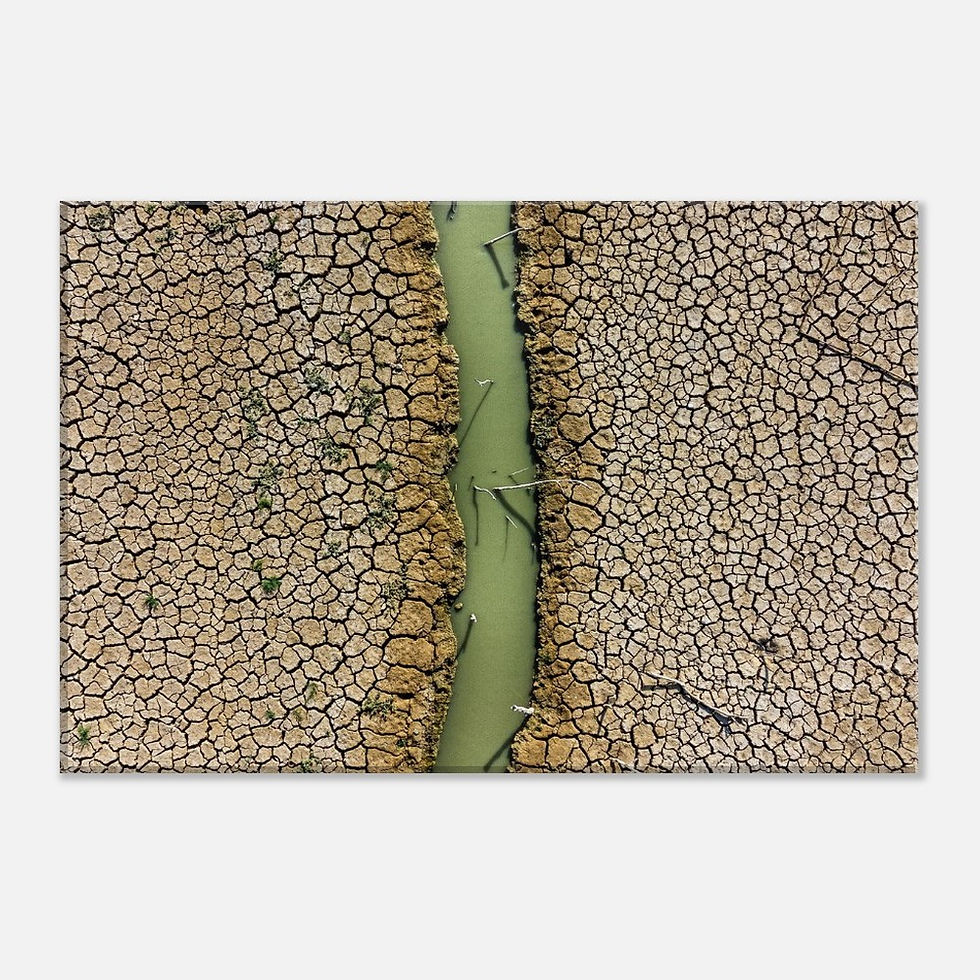 Nature’s Abstract Canvas: Cracked Earth