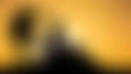 Silhouette of woman reading a book