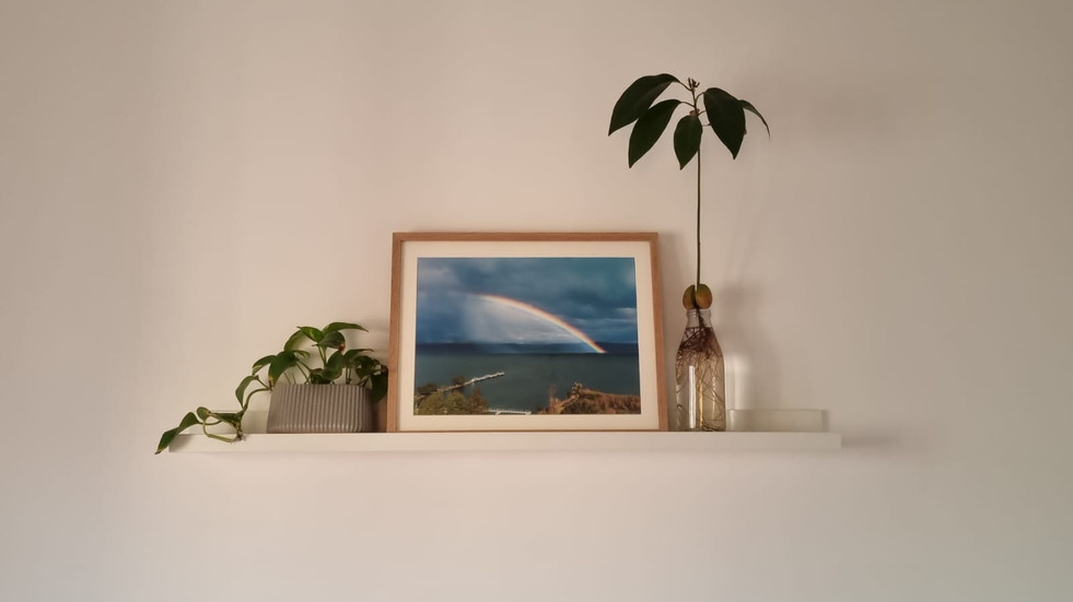 Kinneret Rainbow, Jaffa