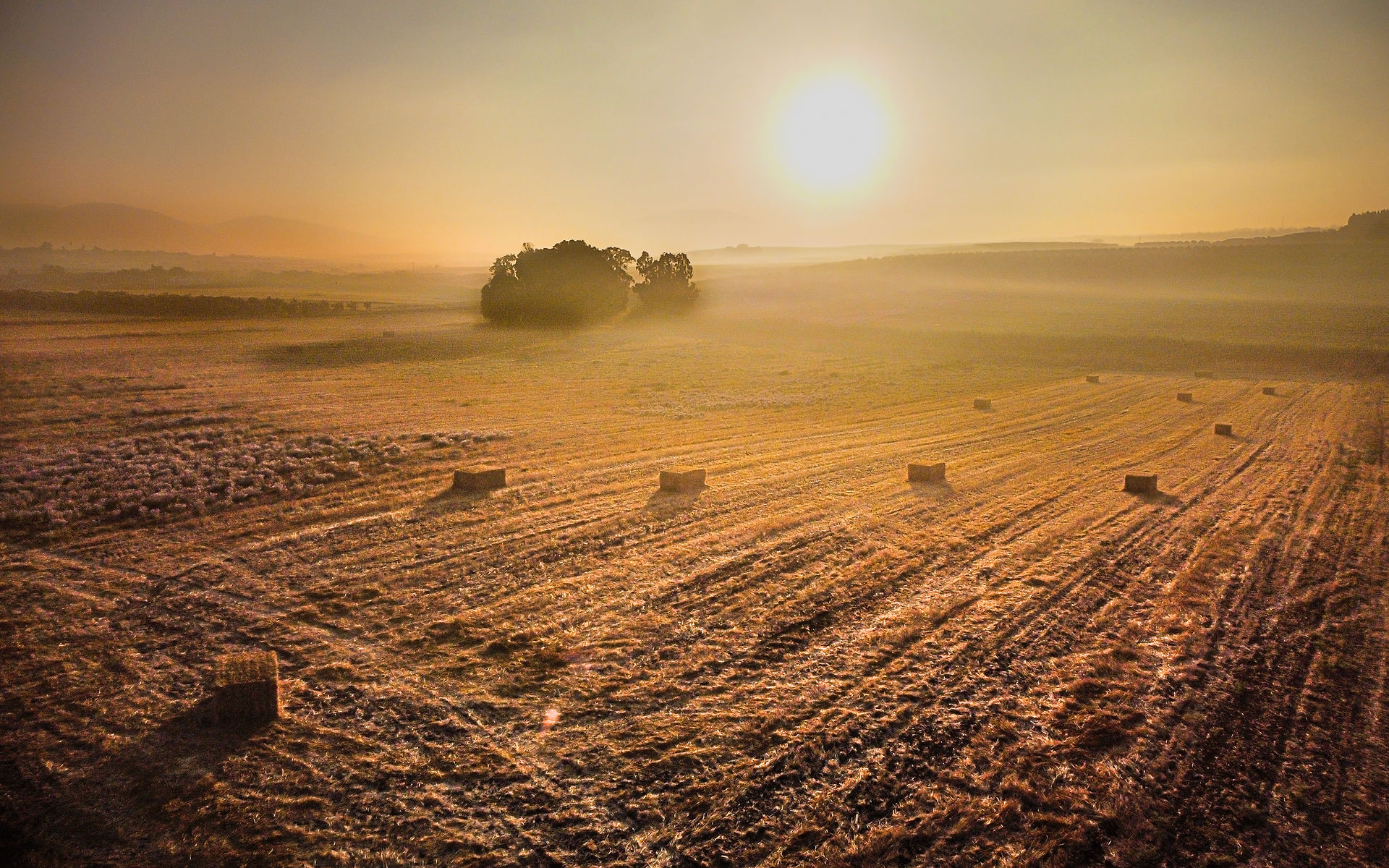 Sunrise in Jezreel Valley