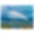 Thumbnail: Rainbow of hope: The Sea of Galilee (Fine Art Poster)