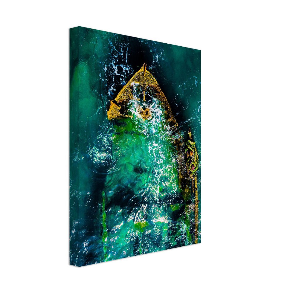 The Sa'ar Shipwreck (Canvas Print)