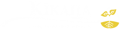 KIK_BR_Primary-Logotype-White_260609.png