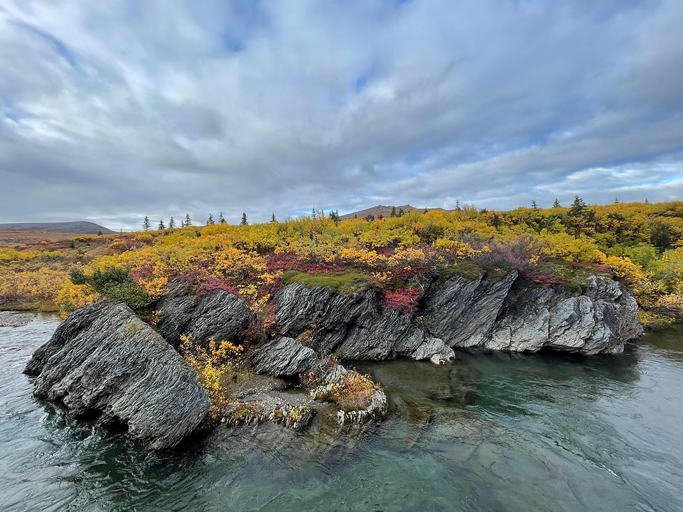 NatashaGamache-2024Scenery-NomeCouncil Road.jpg