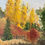 Thumbnail: Autumn Cottonwoods of Routt County