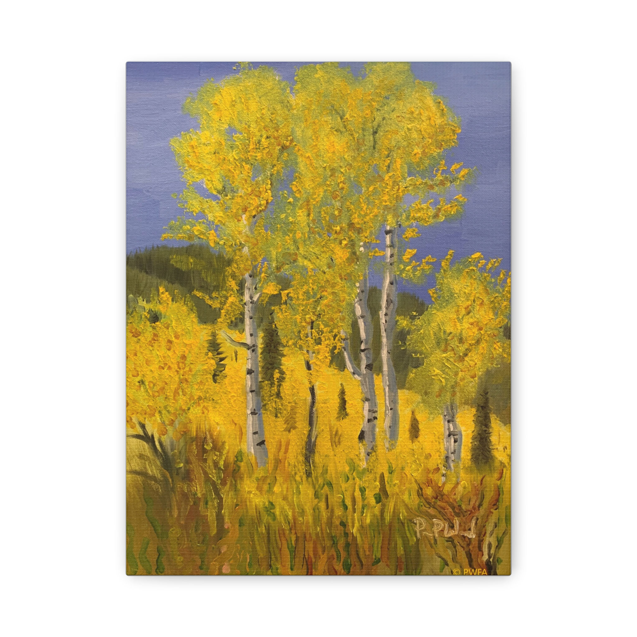 Alpine Mountain Fall Aspens | 12"x9" Matte Stretched Canvas