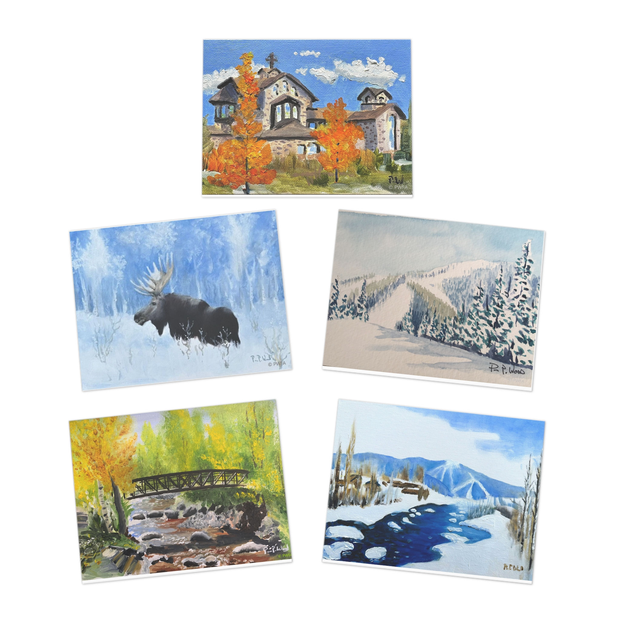 Steamboat Springs Variety – 5-Pack Greeting Cards