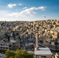 Refugee Resettlement, Jordan
(2017-2018)