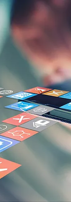 Landscaping with Mobile Assistive Technologies
(2019-2020)