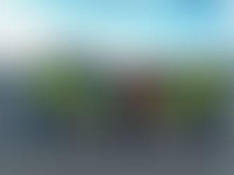 Volaris inaugura vuelo chárter de San Salvador a Roatán.