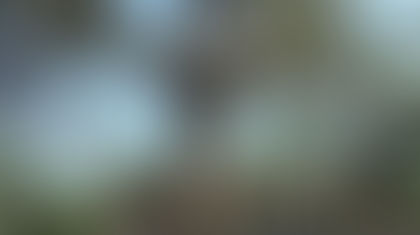 227 años de la muerte del héroe garífuna Joseph Satuyé.