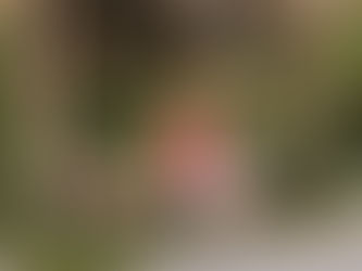 Hondureña acude a Islas Caimán para realizarse un procedimiento médico que cambió su vida.