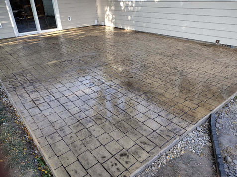 Solomon Ginger with grey release