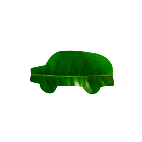 Untitled design (16).png