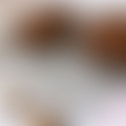 Chocolate Walnut Banana Bread