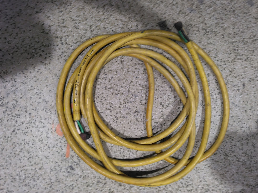 Shore Cord no ends 30' 2/3 Wire