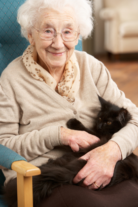 elder&cat