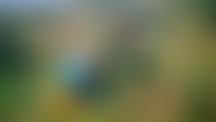 África Reverdece: Reforestación y Agricultura Sostenible en la Lucha Contra la Desertificación