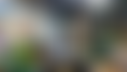 Toronto transforma autobuses en mercados de alimentos, ofreciendo acceso a comida fresca a comunidades vulnerables