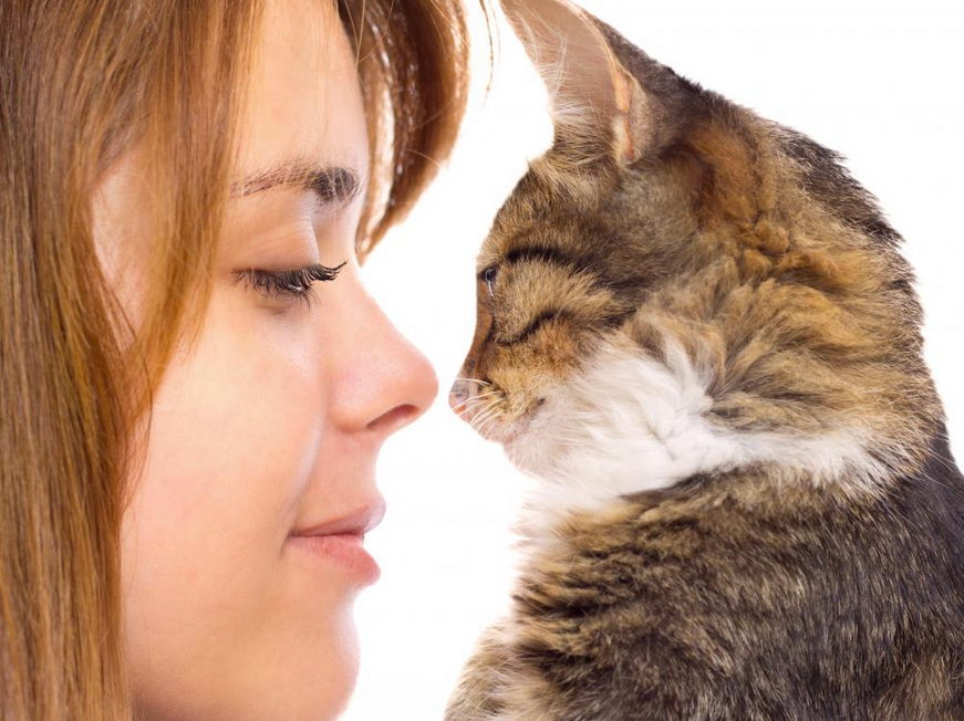 cat2