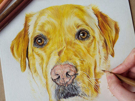 A Little Bit About Me...