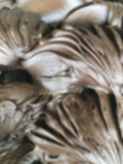 Cioccolato fondente senza latte.jpeg