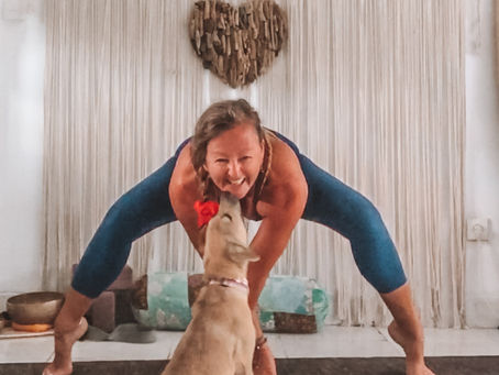 All the single, all the single anybody Bueller?....Bueller??