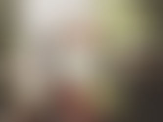 My life in Bali right now.