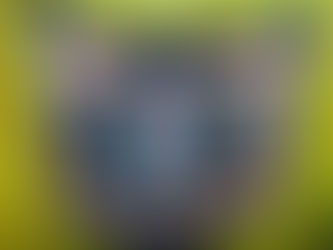 In a kitty of chaos.