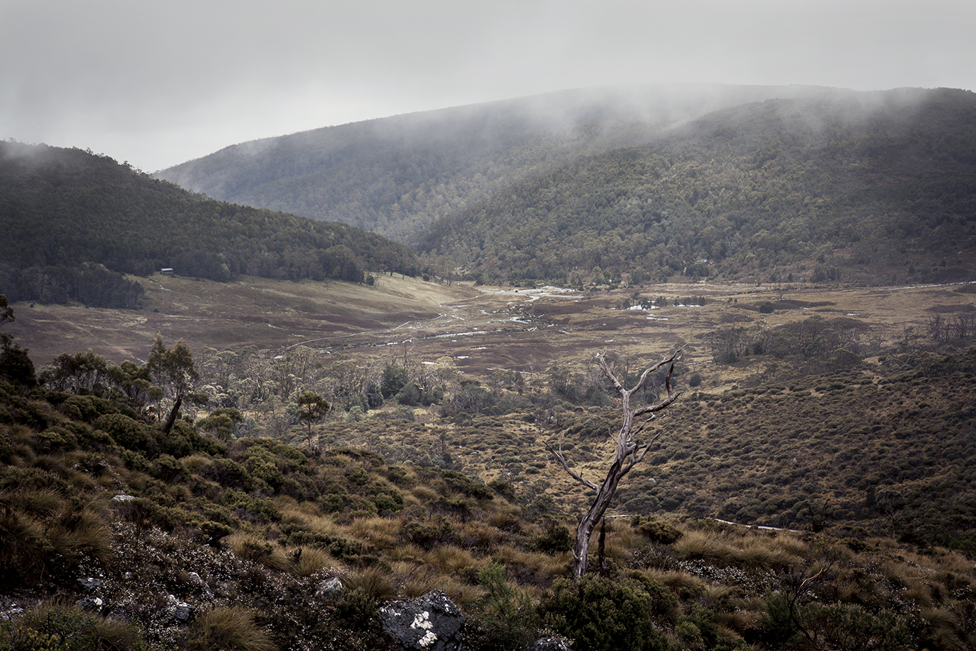 CradleMt_0081.jpg