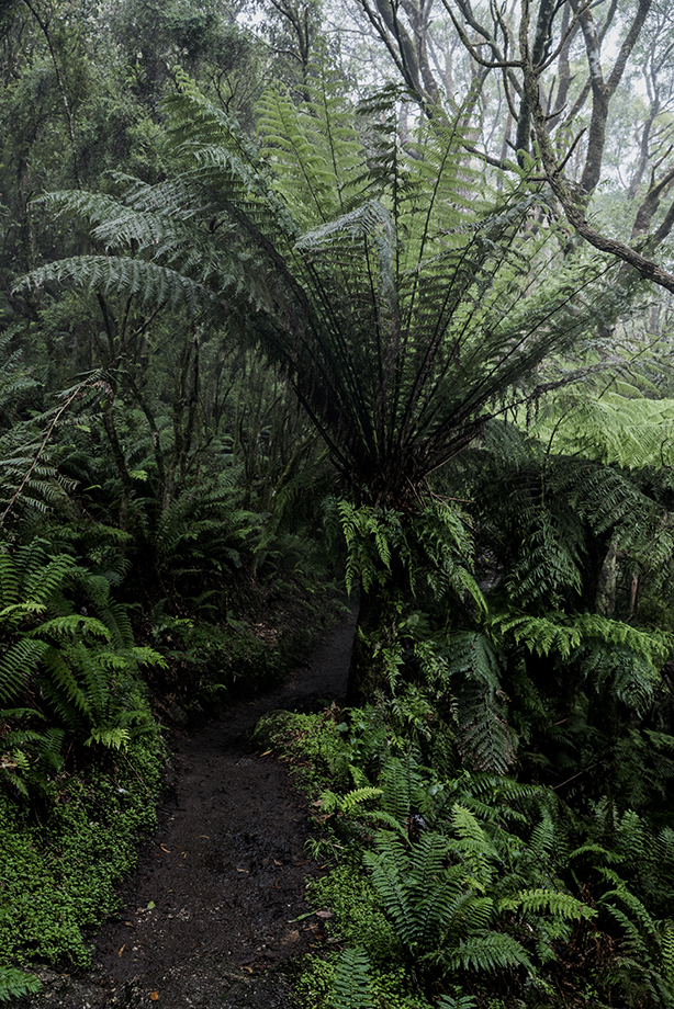 Wilsons Promontory, VIC