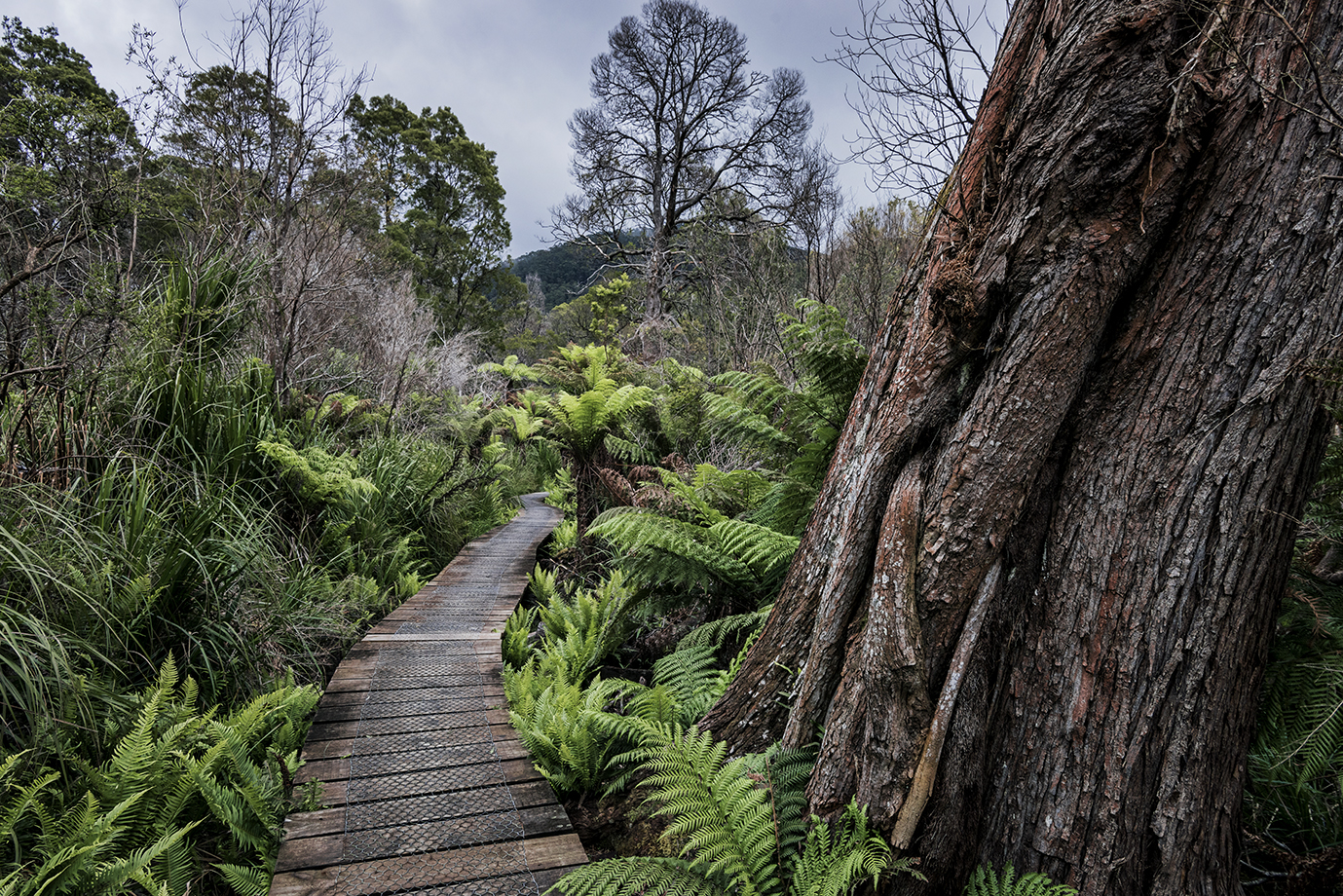 Wilsons Promontory, VIC