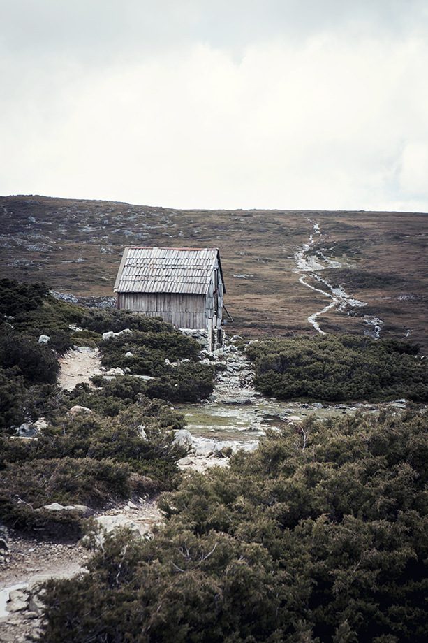 CradleMt_0374.jpg