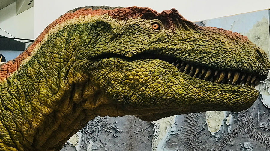 bisti_edited_edited.jpg